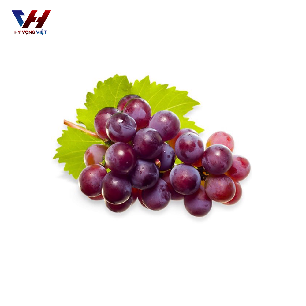 hop nho xanh cat san